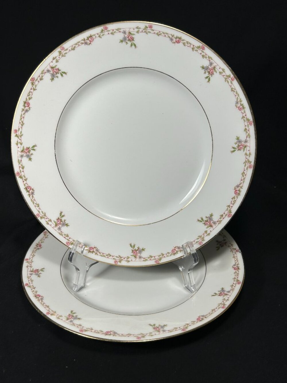 2 beautiful dinner plates. L HRHNARDAUD & CO.